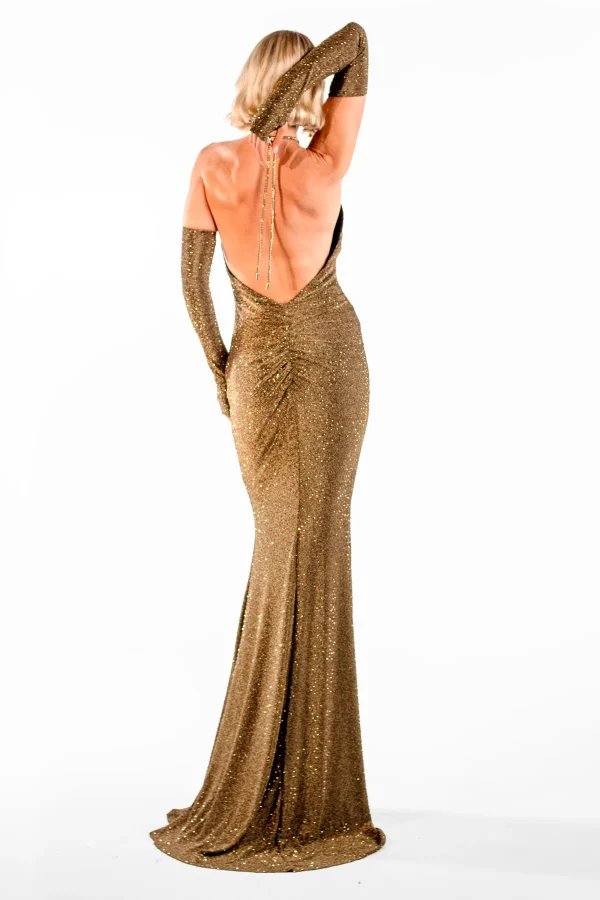 Violeta Bronze Halte Maxi Gown - Image 4
